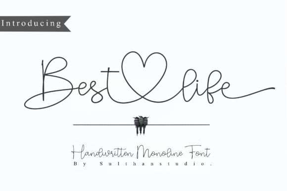 Best Life: A Font That Brings Handwritten Elegance to Your Projects