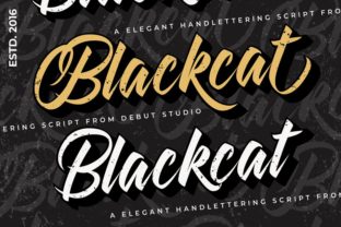 Blackcat: Injecting Playful Nostalgia into Modern Design