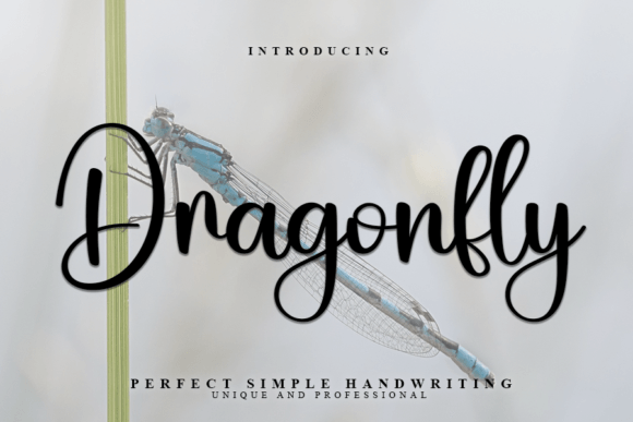 Dragonfly: A Handwritten Font with Modern Elegance