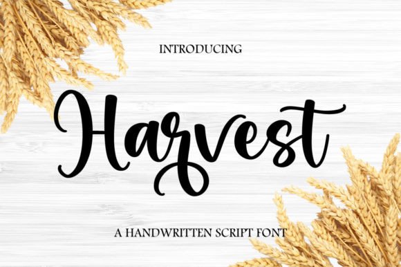 Harvest: A Handwritten Font for Elegant, Modern Designs