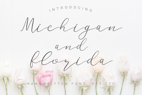Michigan and Florida: The Handwritten Font That Feels Like a Personal Touch